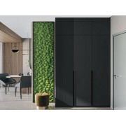 Шафа Лайн 3Д